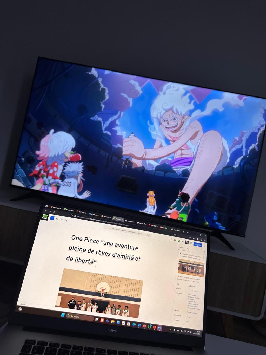 One Piece &laquo;&nbsp;une aventure pleine de rêves d’amitié et de liberté&nbsp;&raquo;